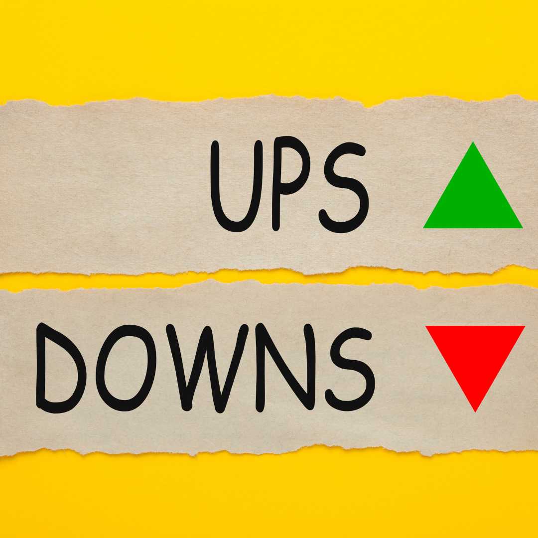 ups and downs in business